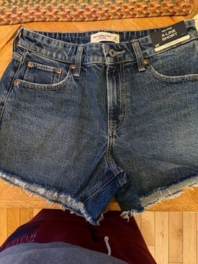 Abercrombie & Fitch Dark Blue Denim A-Line Cutoff Shorts